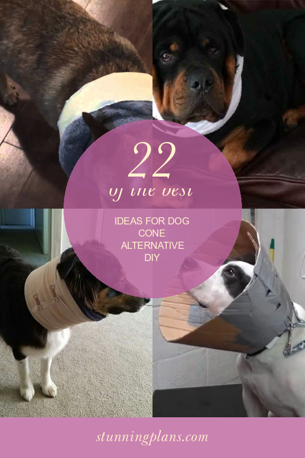 22 Of the Best Ideas for Dog Cone Alternative Diy Home, Family, Style